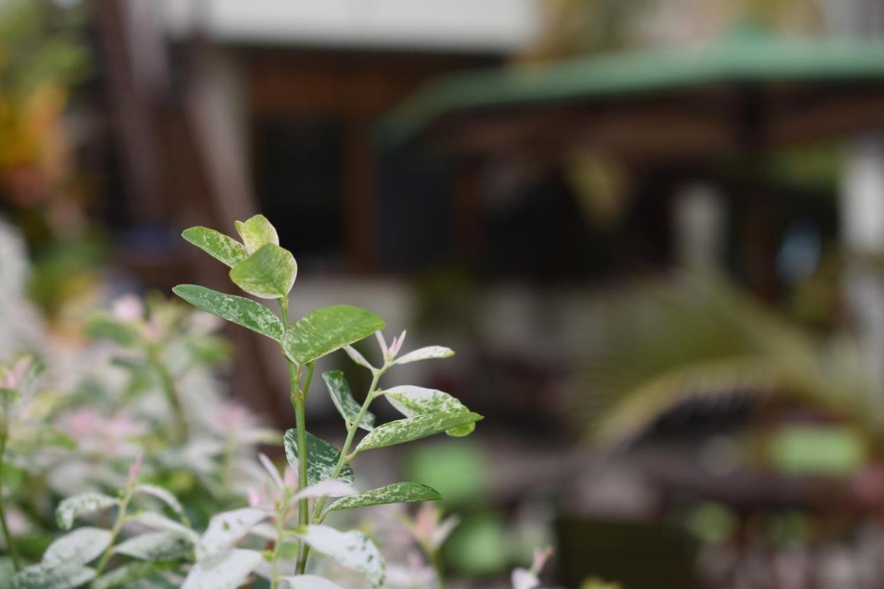 Hotel San Vicente Galapagos Пуэрто-Вильямиль Экстерьер фото